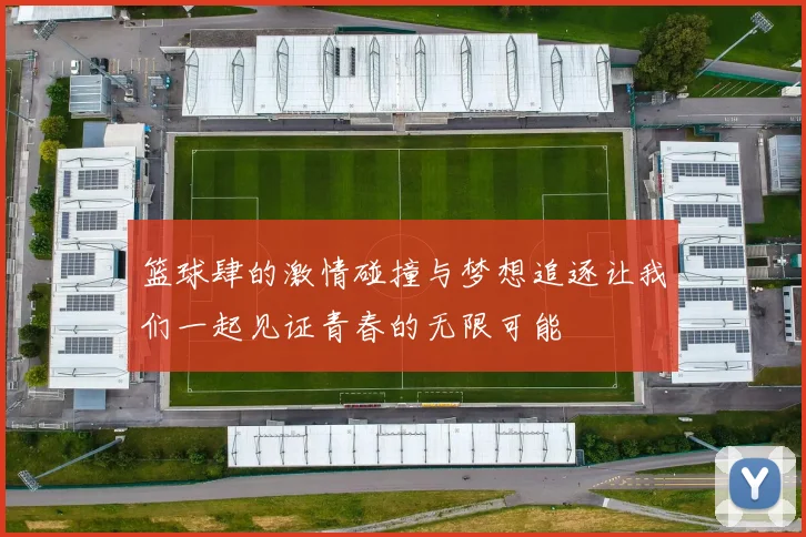 篮球肆的激情碰撞与梦想追逐让我们一起见证青春的无限可能