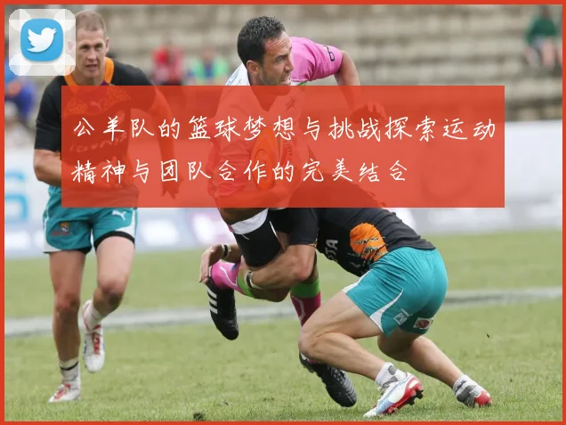 公羊队的篮球梦想与挑战探索运动精神与团队合作的完美结合