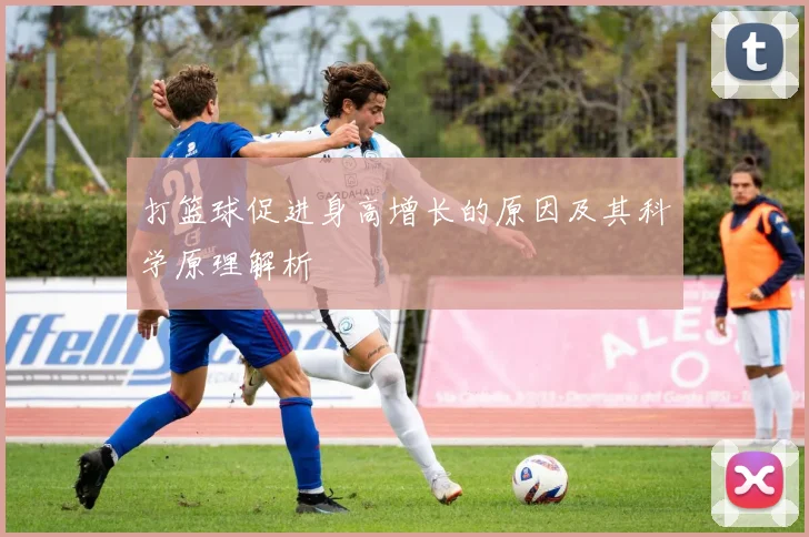 打篮球促进身高增长的原因及其科学原理解析